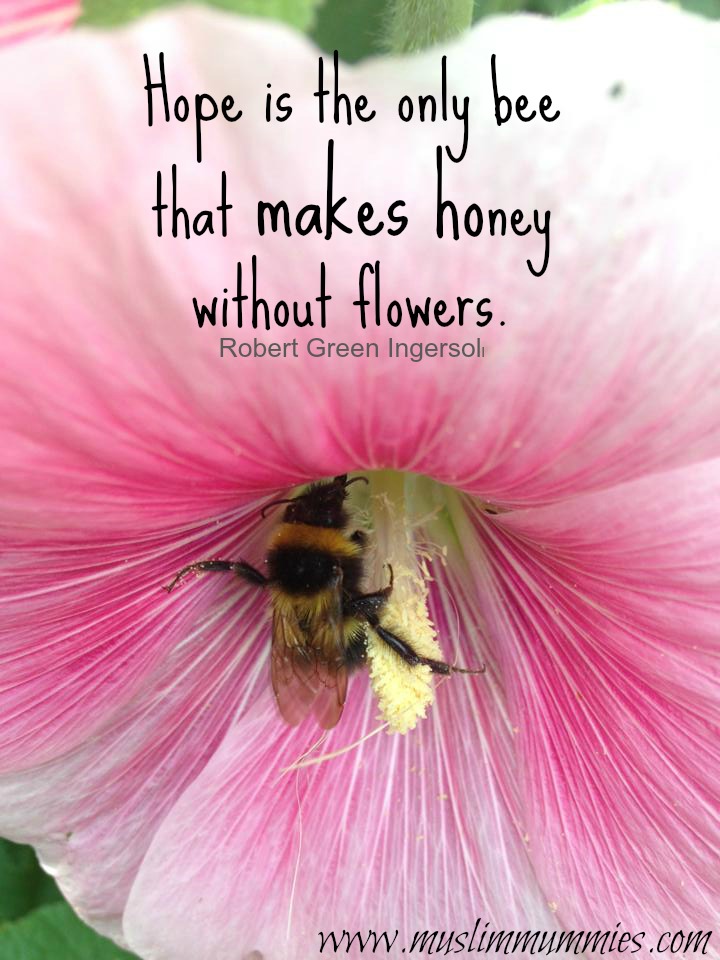 Hope is the only bee that makes honey without flowers