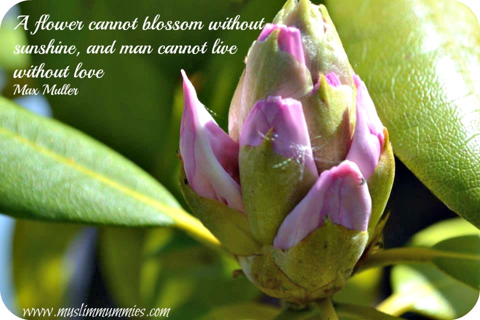 A flower cannot blossom without sunshine, and man cannot live without love Max Muller