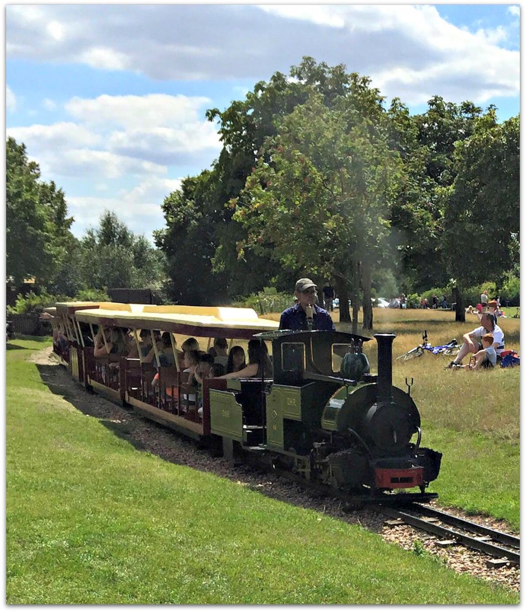 Train at Ferry Meadows