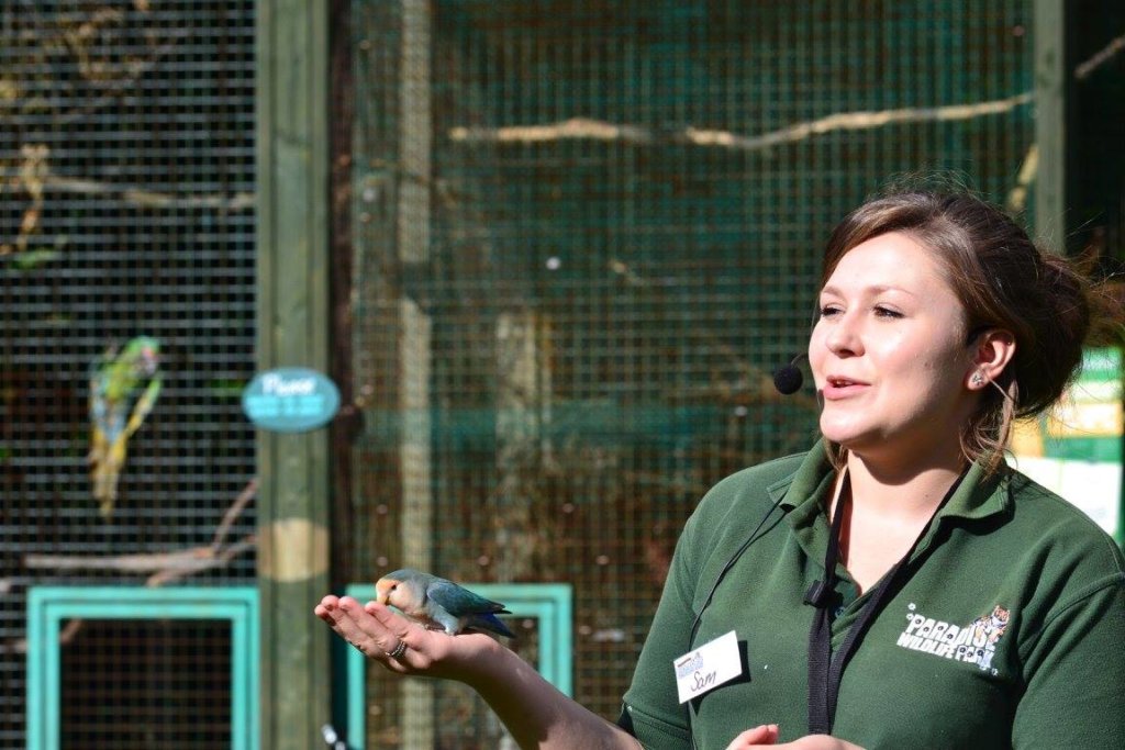 Birds of Paradise talk at Paradise Wildlife Park