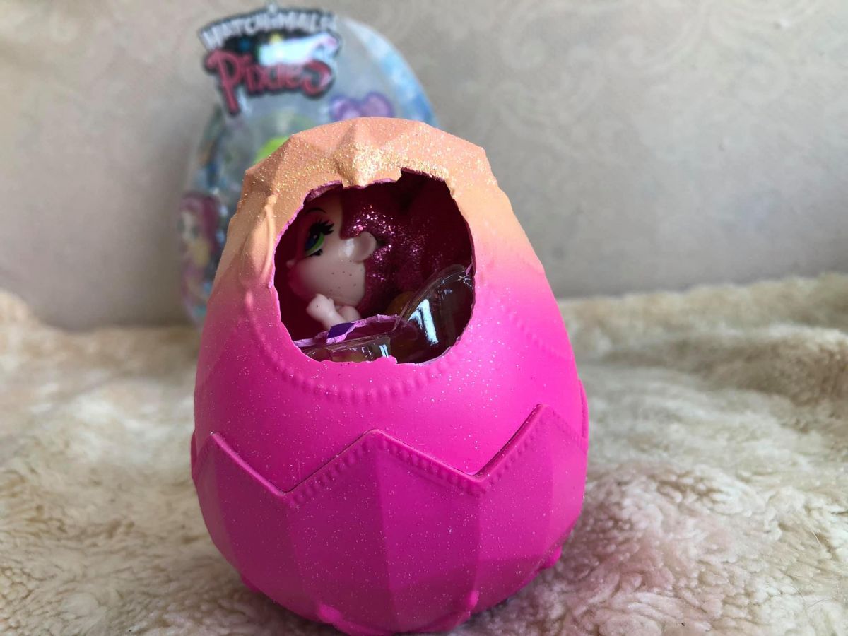 Pixie peeping out through the egg