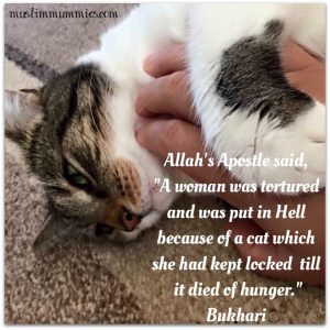 Allah's Apostle said, A woman was tortured and was put in Hell because of a cat which she had kept locked till it died of hunger.