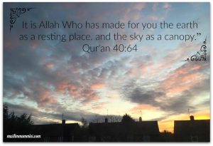 It is Allah Who has made for you the earth as a resting place, and the sky as a canopy.” Qur'an 4064